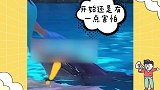 全红婵激动看海豚跳水，给它取名“辣条”，走哪都不忘吃好可爱