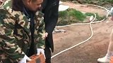 这样的孩子不要更好
