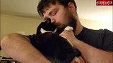 主人和他猫咪的日常，视频让我确信，猫才是他的真爱啊！