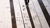 大场面!同济大学新生作业每份10米长:展开铺满整层楼