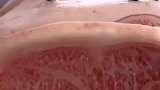 这在日本吃到的真正的雪花牛肉