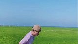海滩变草原？浒苔入侵日照海域，每年需耗费大量精力清理！