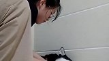 二哈：我已经放弃挣扎了，随便你洗吧！