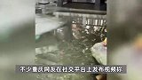 重庆警方再通报锦鲤大量死亡：男子将杀虫剂倒入鱼池被刑拘，因游乐项目收益引纠纷