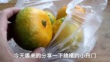 秋天橘子应季上市 只需死记2个部位 保你买到又甜又好吃的橘子