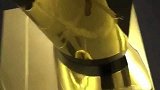 篮球-17年-休赛期仍不放松！格林健身房锻炼不忘秀奖杯-专题