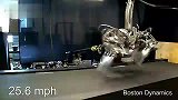 时速28.3英里 猎豹机器人速度超飞人博尔特
