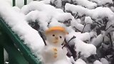 是谁这么有才？史上最小的雪人