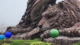 美人鱼身边，还有虎的陪伴。