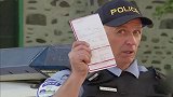国外恶搞系列：汪星人开车上路了，路人投来了惊讶的目光