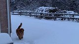 一起来玩雪吧