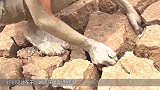 小河干涸到裂缝，小伙挖开土块后下面还有鱼，这次可以大吃一顿了