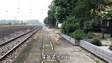 甜蜜的负担，橘猫与田园犬腻着主人一起上班：猫狗相伴不觉累