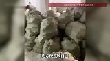 快递小哥转走独居老太95万余元，老人还觉得他人很好：我有两套房，你搬来住