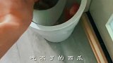 吃西瓜不扔皮，学会了吗？夏日自制饮料 苏大水 拦不住的夏天