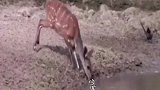 屏幕上有2个字，谁能看出来是什么