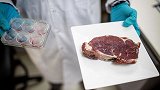 以色列研发细胞生长牛肉，和真牛肉一样，未来不养牛就有肉吃
