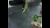 龙虾意大利面，感觉一顿要吃掉一套房