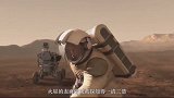 火星上出现的蘑菇状物体到底是什么真的是火星物种吗