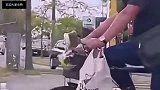 爆笑段子猫你这什么招式，挥手空气让我窒息啊