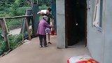 正能量；空巢老人无儿无女，志愿者为她送来了食物！