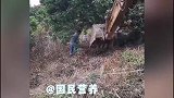 搞笑视频：我就上个厕所被挖土机调戏了，你不要过来啊