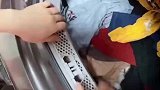 家里养了两只猫，洗衣服时全是猫毛