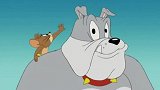猫和老鼠：猫狗大战，汤姆杰瑞看笑话，坐收渔翁之利