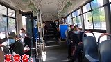 导盲犬坐公交被骂哭 主人说几乎每天被赶