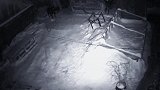 监控拍下两只狼夜袭牧民家狗狗，野性十足