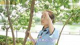 山东小妹翻唱罗志祥《灰色空间》,这歌声简直绝了