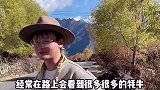如果在路上遇到牦牛，你会怎么办