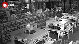 火锅店半夜钻进不速之客，老板查监控越看越乐：他肯定憋慌了