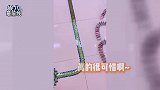 小飞侠又有线下应援，数万张纸牌效果震撼，每一秒都是大片既视感