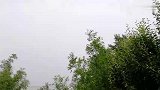 老妈做的珍珠贝壳花卷，奶奶看着真新奇，又软又甜香透了