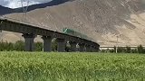 西藏美景，拉林铁路，青藏铁路