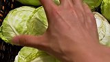 包菜我一口吃一个你信吗 手撕包菜  美食
