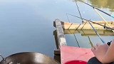 怎么做鱼才是最新鲜的