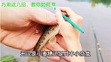 巧用这几招，教你如何避开小鱼专钓大鱼，百试百灵