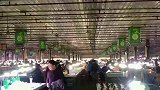 玉石市场基本很难找到真玉