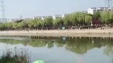 男子投河欲轻生，热心市民喊道，你看这有这么多人关心你！