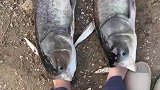 这拖鞋穿出去绝对有面子