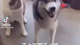 像不像今天不上班的你