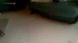爆笑堂-20110817-牛娃怒砸psp