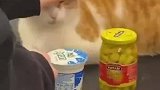 收银台的监管员猫咪，继程序员后另一头秃岗位