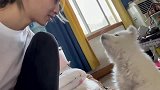 狗,一句话有三个语法错误