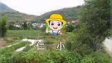 大爷家养30只母兔子，能长十二三斤，大家看看是公羊兔吗？