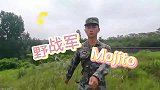 麻烦给我的敌人来一发榴弹炮