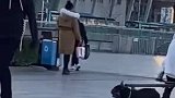 自来熟的狗狗跟人抢滑板玩，抢到后溜之大吉