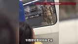 团圆后军嫂带娃要回老家，女孩离别时凝望车外落泪“爸爸为什么不上来”，让妈妈破防